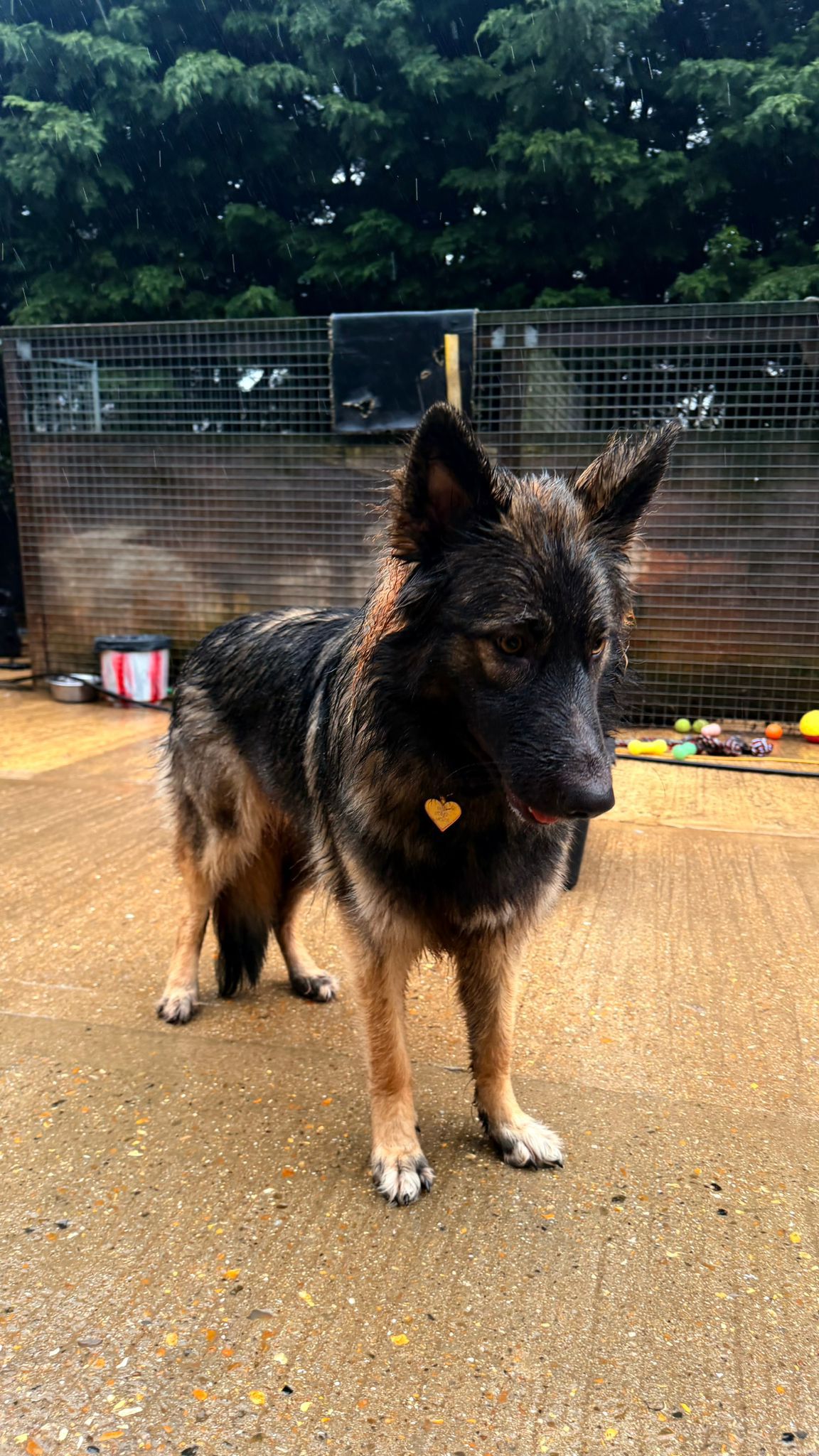 BELLE - KENT BELLE - KENT